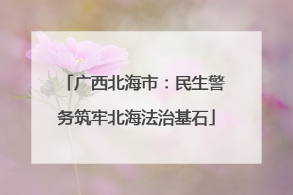 广西北海市：民生警务筑牢北海法治基石