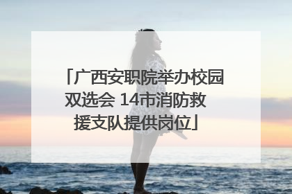 广西安职院举办校园双选会 14市消防救援支队提供岗位