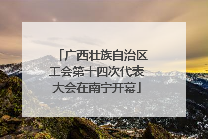 广西壮族自治区工会第十四次代表大会在南宁开幕
