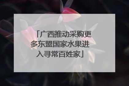 广西推动采购更多东盟国家水果进入寻常百姓家