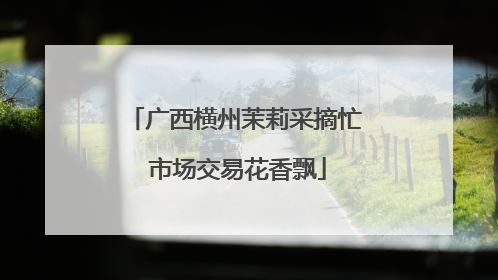 广西横州茉莉采摘忙 市场交易花香飘