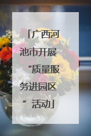 广西河池市开展“质量服务进园区”活动