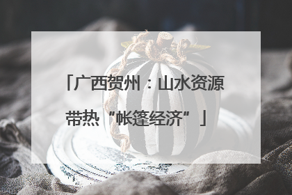 广西贺州：山水资源带热“帐篷经济”