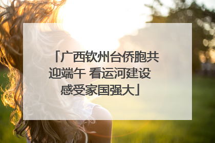 广西钦州台侨胞共迎端午 看运河建设感受家国强大