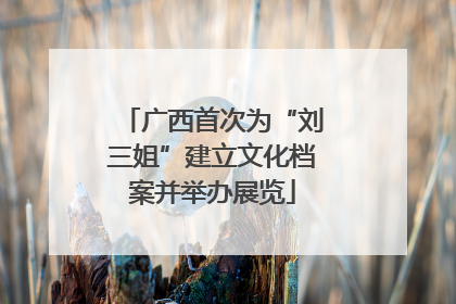 广西首次为“刘三姐”建立文化档案并举办展览