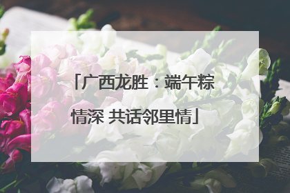 广西龙胜：端午粽情深 共话邻里情