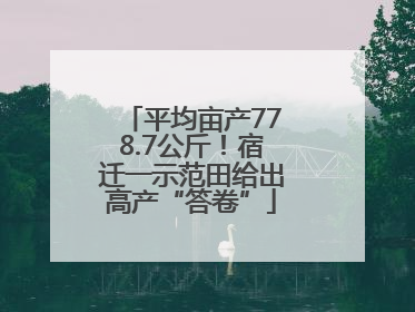 平均亩产778.7公斤！宿迁一示范田给出高产“答卷”