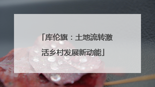 库伦旗：土地流转激活乡村发展新动能