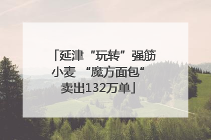 延津“玩转”强筋小麦 “魔方面包”卖出132万单