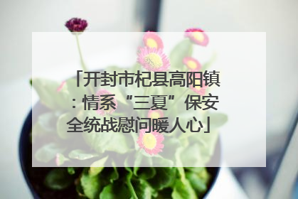 开封市杞县高阳镇：情系“三夏”保安全统战慰问暖人心