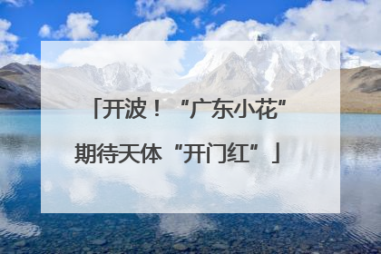 开波！“广东小花”期待天体“开门红”