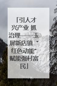 引人才 兴产业 抓治理——玉屏新店镇“红色动能”赋能强村富民