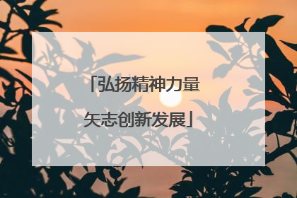 弘扬精神力量 矢志创新发展