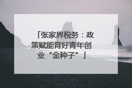 张家界税务：政策赋能育好青年创业“金种子”