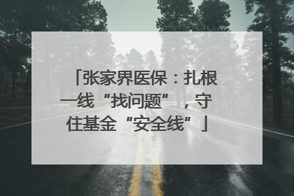 张家界医保：扎根一线“找问题”，守住基金“安全线”