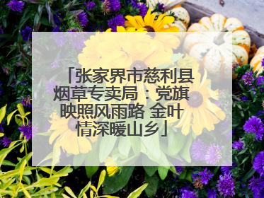 张家界市慈利县烟草专卖局：党旗映照风雨路 金叶情深暖山乡