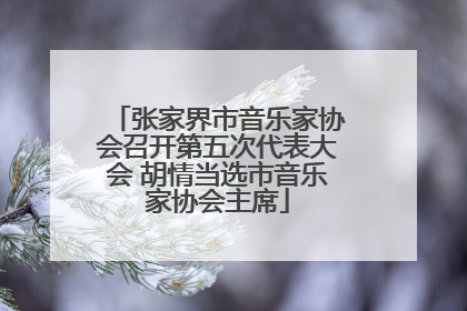 张家界市音乐家协会召开第五次代表大会 胡情当选市音乐家协会主席