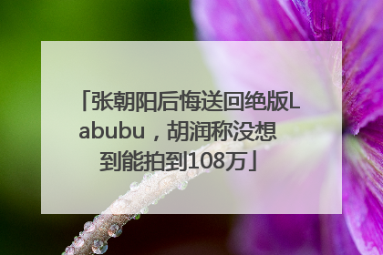 张朝阳后悔送回绝版Labubu，胡润称没想到能拍到108万