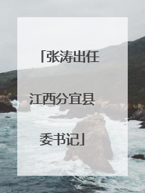 张涛出任江西分宜县委书记