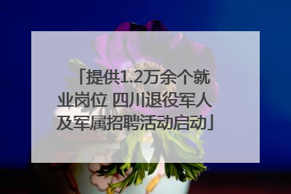 提供1.2万余个就业岗位 四川退役军人及军属招聘活动启动