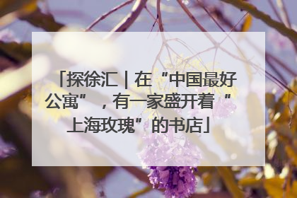 探徐汇｜在“中国最好公寓”，有一家盛开着“上海玫瑰”的书店