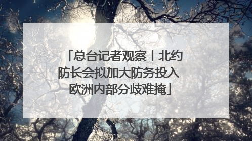 总台记者观察丨北约防长会拟加大防务投入 欧洲内部分歧难掩