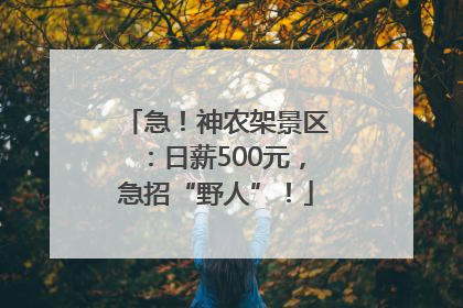 急！神农架景区：日薪500元，急招“野人”！