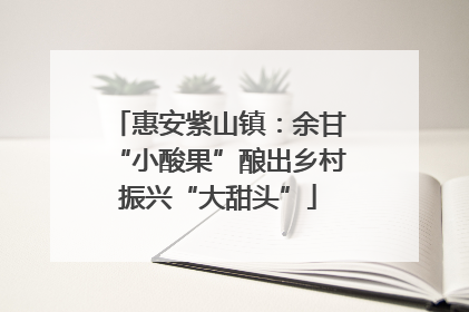 惠安紫山镇：余甘“小酸果”酿出乡村振兴“大甜头”