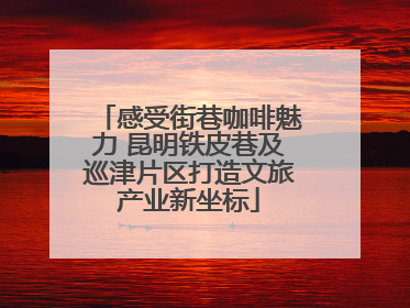 感受街巷咖啡魅力 昆明铁皮巷及巡津片区打造文旅产业新坐标