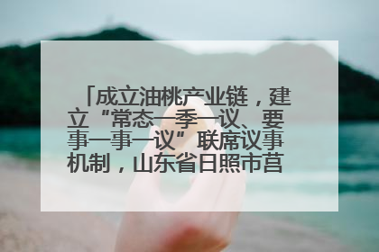 成立油桃产业链，建立“常态一季一议、要事一事一议”联席议事机制，山东省日照市莒县果庄镇——13个党小组“全周期”育果