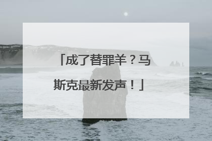 成了替罪羊？马斯克最新发声！