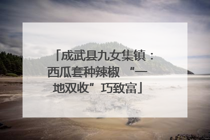 成武县九女集镇：西瓜套种辣椒 “一地双收”巧致富