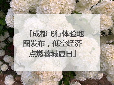 成都飞行体验地图发布，低空经济点燃蓉城夏日
