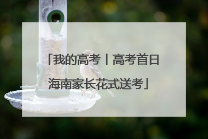 我的高考丨高考首日 海南家长花式送考