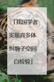 我国学者实现真多体纠缠子空间自检验