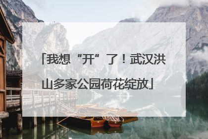 我想“开”了！武汉洪山多家公园荷花绽放
