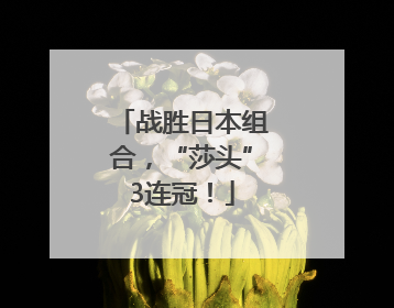 战胜日本组合，“莎头”3连冠！