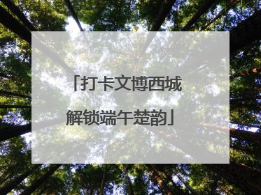 打卡文博西城 解锁端午楚韵