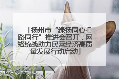 扬州市“绿扬同心·E路同行”推进会召开，网络统战助力民营经济高质量发展行动启动