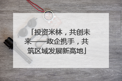 投资米林，共创未来——政企携手，共筑区域发展新高地