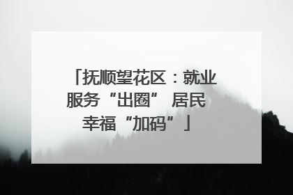 抚顺望花区：就业服务“出圈” 居民幸福“加码”