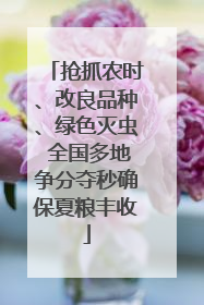 抢抓农时、改良品种、绿色灭虫 全国多地争分夺秒确保夏粮丰收