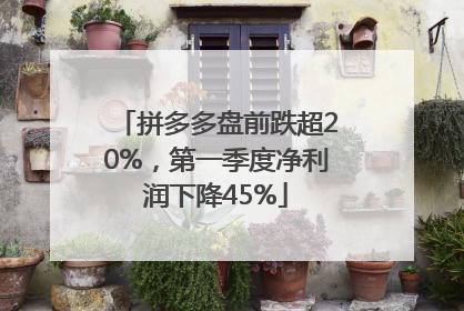拼多多盘前跌超20%，第一季度净利润下降45%