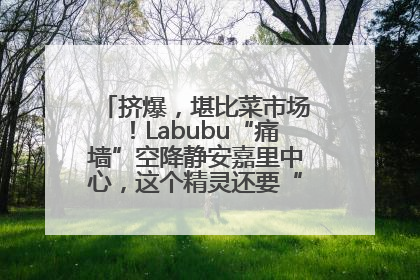 挤爆，堪比菜市场！Labubu“痛墙”空降静安嘉里中心，这个精灵还要“突袭”便利店？
