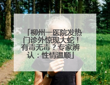 柳州一医院发热门诊外惊现大蛇！有毒无毒？专家辨认：性情温顺