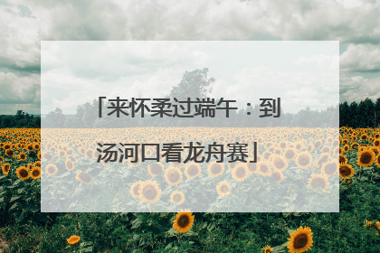 来怀柔过端午：到汤河口看龙舟赛