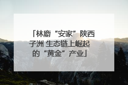 林麝“安家”陕西子洲 生态链上崛起的“黄金”产业