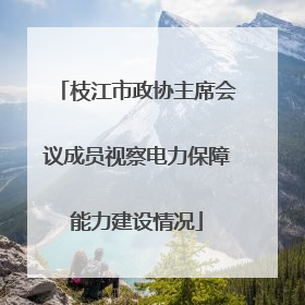 枝江市政协主席会议成员视察电力保障能力建设情况