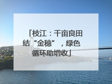 枝江：千亩良田结“金穗”，绿色循环助增收