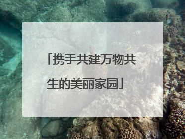 携手共建万物共生的美丽家园